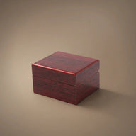 Piano Lacquer Luxury Wooden Watch Box, alternate view